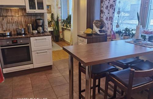 Pieksamaki Apartment | Kauppatori