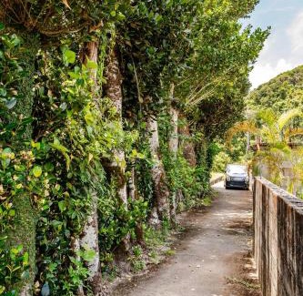 Kayo House | Kayo BASE