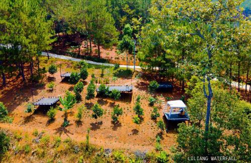 Di Linh Other | KDL Liliang