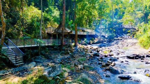 Di Linh Other | KDL Liliang