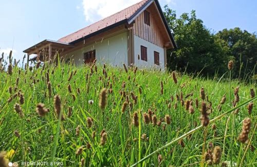 Eberau House | Kellerstöckl am Kurzlangberg
