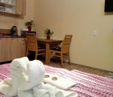 Gyula Apartment | Kerékvár apartman Gyula