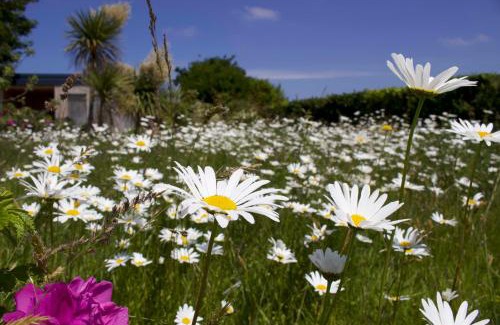 Plourin House | Ker Gana Sauna, jacuzzi, poêle à bois