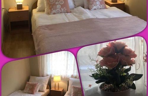 Cserkeszolo Apartment | Kert Apartman