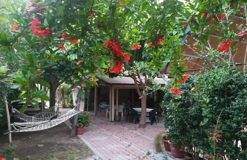 Cirali House | Kervan Pansiyon