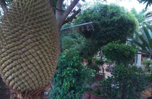 Ninh Hai Hotel | Khách sạn Mộng An