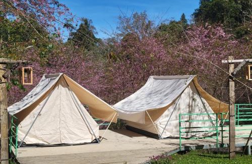 Kon Plong Other | Khu Gghỉ Dưỡng glamping Pa Sỹ