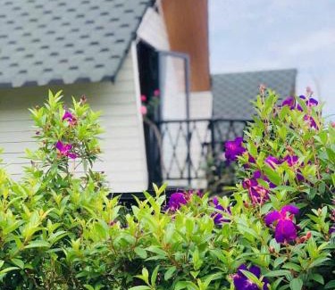 Madagui Town Cabin | Khu Nghỉ Dưỡng Lộc Nam Hill Bảo Lộc