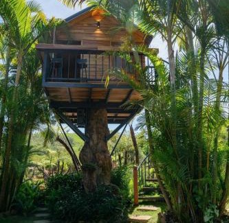Bao Loc House | Khu Nghỉ Dưỡng Ngôi Làng Trong Tranh, Bảo Lộc