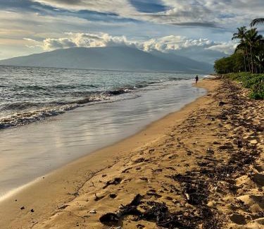 Kihei Apartment | Kihei Maui Island Style, Beach, Pool, Restaurants Kihei Gardens Estates