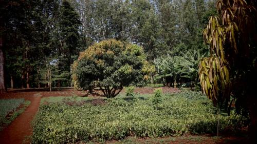 Moshi Cabin | KILEMAKYARO Mt LODGE