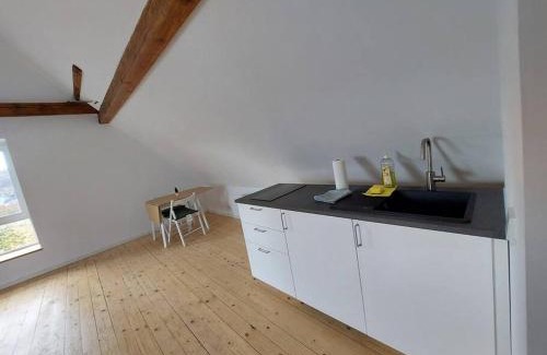 Siegen Apartment | Kinderklinik Dachwohnung Lion's Head 1B