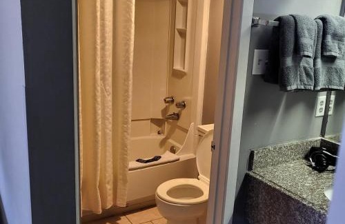 Livingston Apartment | King Bed Hotel Studio 219