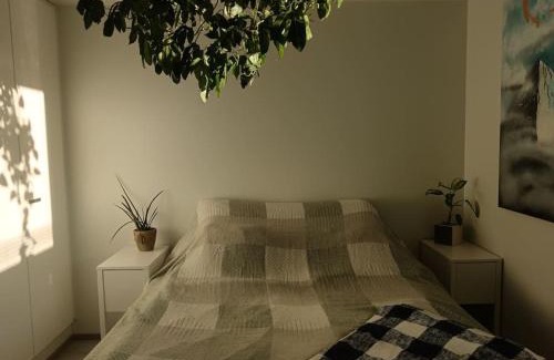 Lantinen District Apartment | King's Oak Jungle