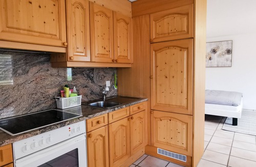 Flims Apartment | King Studio & Free Parking!