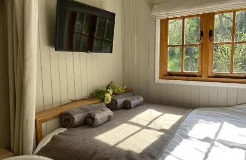 Acrefair House | Kingfisher