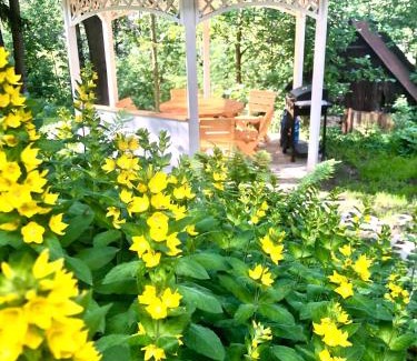 Stara Kamienica House | Kino na łące - sala kinowa