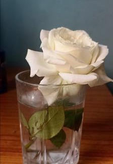 Kolkata House | Kiran Guest House