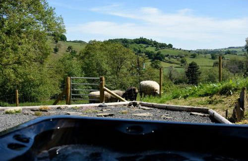 Newtown House | Kites Nest-Qu7488