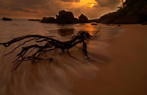 Kannur Bed & Breakfast | KK Heritage