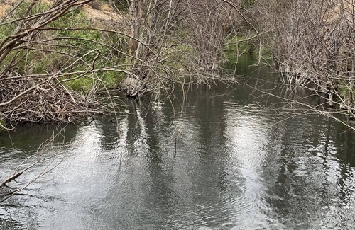 Lyle Cabin | Klickitat Rails to Trails Cabin- Hikers and Bicyclers- S