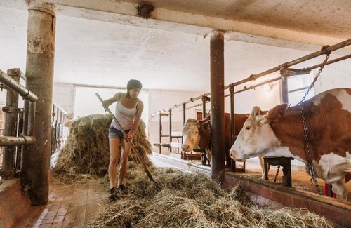 Vidrga Apartment | Kmetija pr`kržet