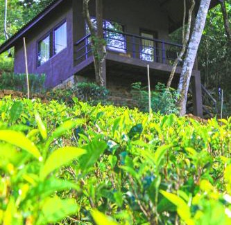 Madulkele House | Knuckles breeze villas