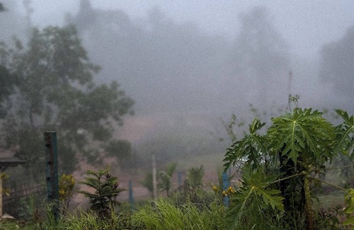 Tumari Bed & Breakfast | Kodachadri Pathalagere Homestay