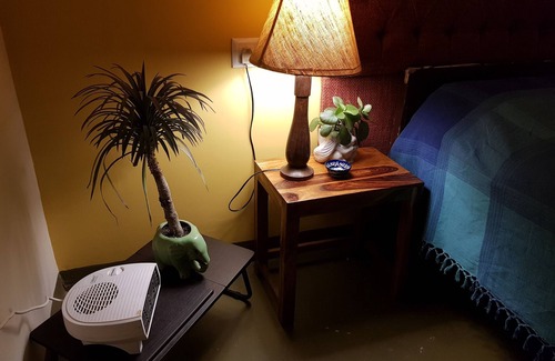 Mohanlalganj House | Koko's Farm