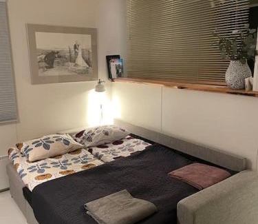 Koli National Park Apartment | Kolin Pikkukolo - Saunallinen studiohuoneisto