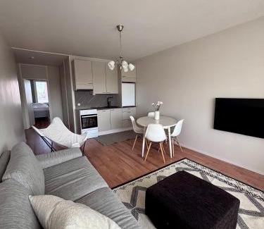 Ylivieska Apartment | Kolmio keskustasta