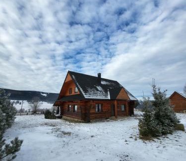 Lasowka House | Komfortowy dom z bali koło Zieleńca z widokiem na góry