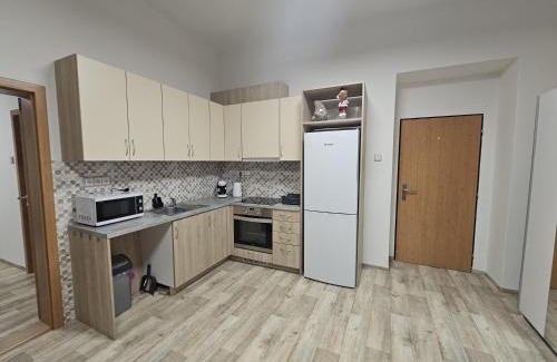 Golcuv Jenikov Apartment | Kompletně vybavený byt s ložnicí v centru u divadla