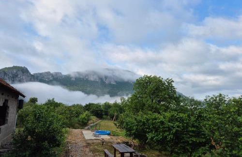 Sicevo House | Konak -Guest house -Ramonda Serbika