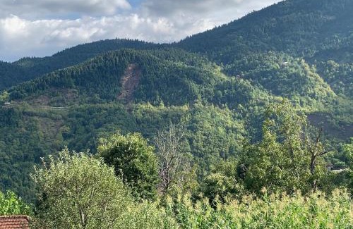 Platanakos Villa | Konstantakos Michail