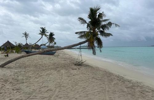 Guraidhoo House | Konut by Thakuru