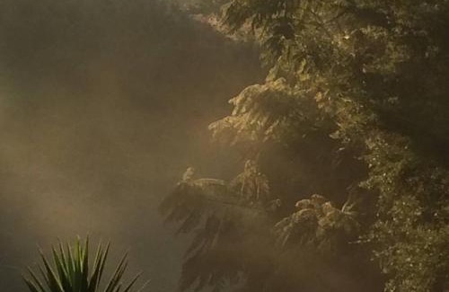 North Maleny House | Kookaburra 2-Bedroom at On Burgum Pond Cottages