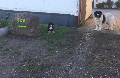 Herlufmagle Bed & Breakfast | Korshøjgårds Bed og Breakfast