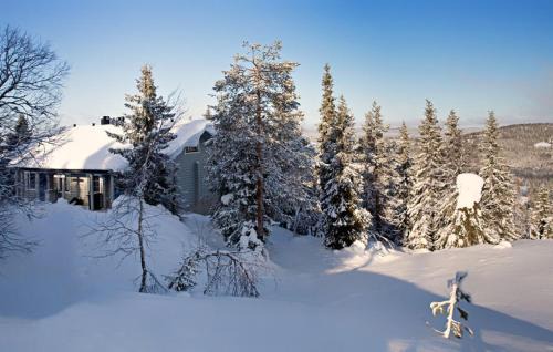 Syote House | Kotamäki A