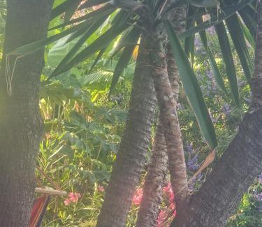 Agios Nikolaos Apartment | Kouros Villa and Apartment