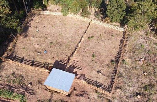 Mafinga Other | KPPA - Kokua Prektical Permatculture of Afrika