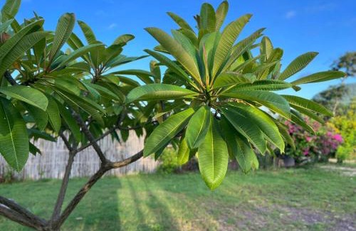 Kampot Cabin | Kraoub Kampot