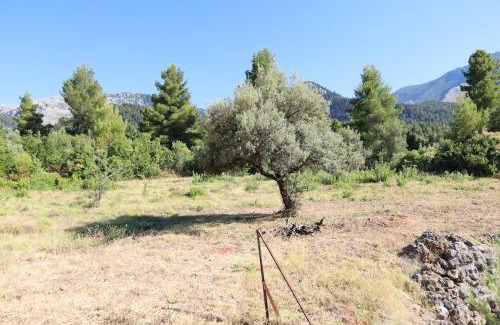 Vlakhia House | Kritharistra Home