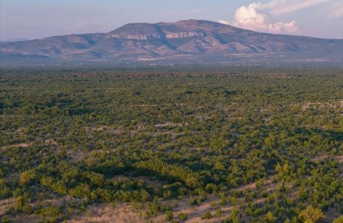 Bogatic Villa | Krka home