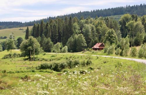 Regietow House | Krzywa 19