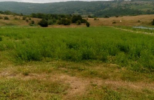 Brlog House | Kuća za odmor