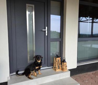 Medimurje Villa | Kuća za odmor MIRTA