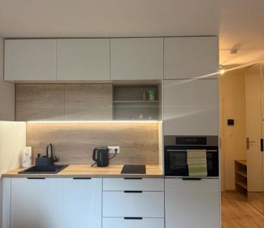 Vrsovice Apartment | Kubánské náměstí