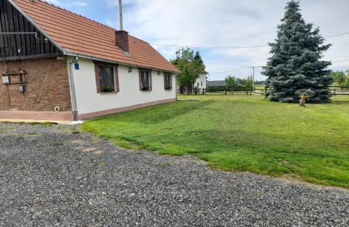 Sveti Ivan Zabno House | Kuca za odmor Noel