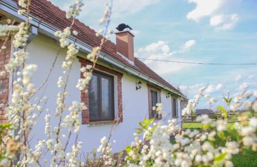 Sveti Ivan Zabno House | Kuca za odmor Noel